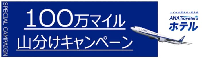 f:id:sakky_mile:20190403001656j:plain