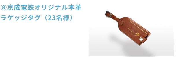f:id:sakky_mile:20190619214746j:plain