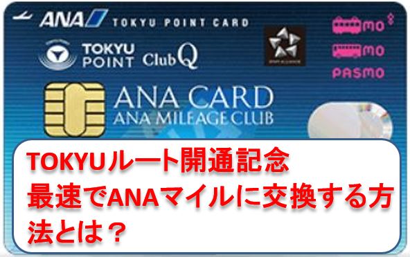 f:id:sakky_mile:20190714182638j:plain f:id:sakky_mile:20190714182638j:plain
