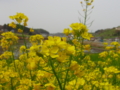 20100504095652