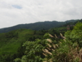 20100806141904