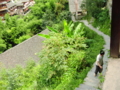 20100806152036