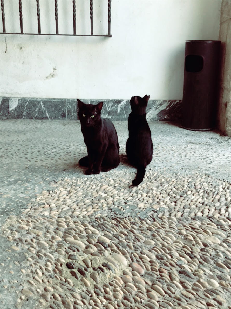 f:id:sako_esp:20200804204656j:plain f:id:sako_esp:20200804204656j:plain