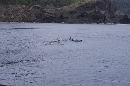 f:id:sako_no_sakura:20110522113101j:image f:id:sako_no_sakura:20110522113101j:image