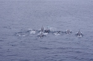 f:id:sako_no_sakura:20110522113421j:image f:id:sako_no_sakura:20110522113421j:image