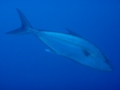 20120513100316