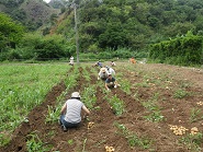 f:id:sako_no_sakura:20120515095041j:image