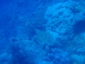 20120616131226