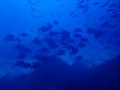 20120617121605