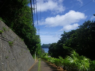 f:id:sako_no_sakura:20130705083957j:image f:id:sako_no_sakura:20130705083957j:image