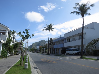 f:id:sako_no_sakura:20131027101744j:image