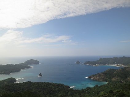 f:id:sako_no_sakura:20131027115542j:image