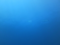20150516125525
