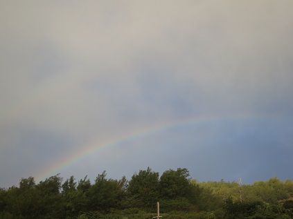 f:id:sako_no_sakura:20151117070827j:image