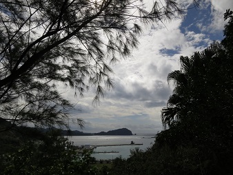 f:id:sako_no_sakura:20180209125534j:image