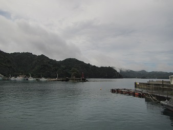 f:id:sako_no_sakura:20180603075859j:image