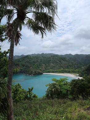 f:id:sako_no_sakura:20210502093522j:plain