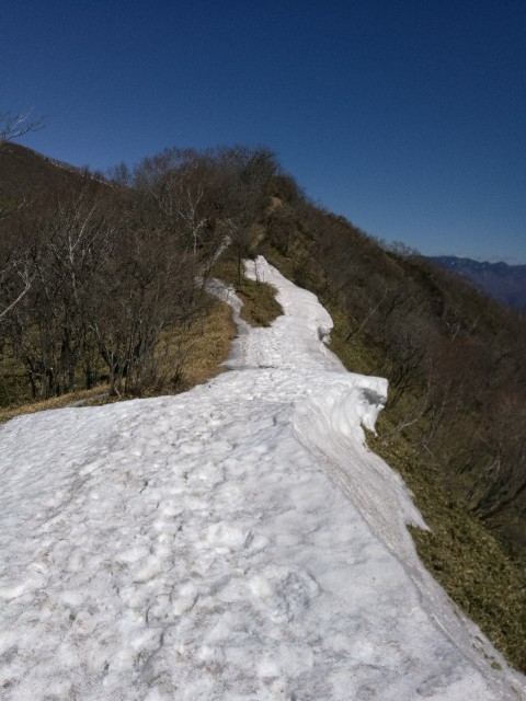 f:id:sakoj:20180325093937j:image f:id:sakoj:20180325093937j:image