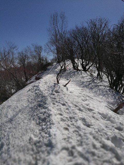 f:id:sakoj:20180325094554j:image f:id:sakoj:20180325094554j:image