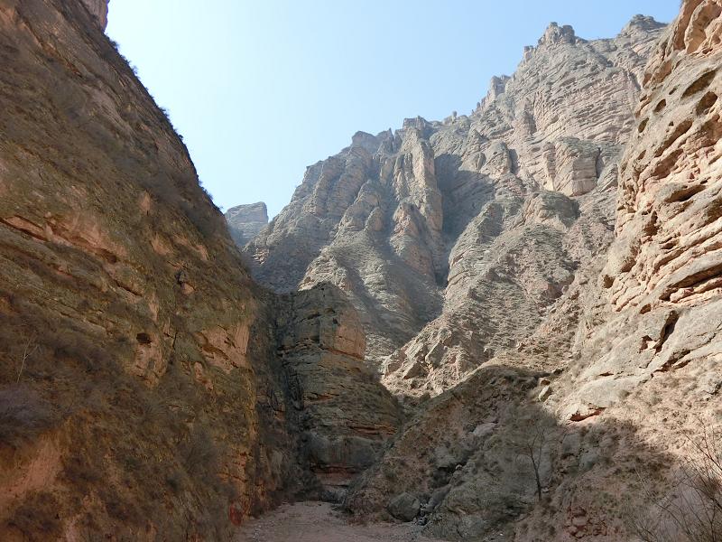 f:id:sakolishu:20161116225218j:plain f:id:sakolishu:20161116225218j:plain