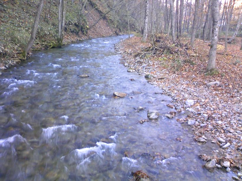 f:id:sakolishu:20161125233739j:plain f:id:sakolishu:20161125233739j:plain