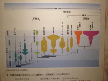 f:id:sakstyle:20140909112535j:image