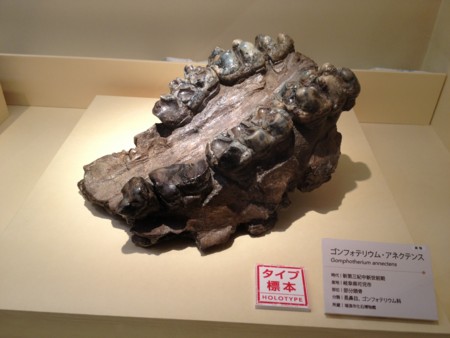 f:id:sakstyle:20140909114431j:image