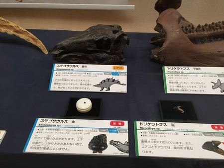 f:id:sakstyle:20180908133306j:image:w360