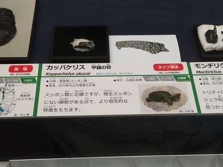 f:id:sakstyle:20180908134425j:image:w360