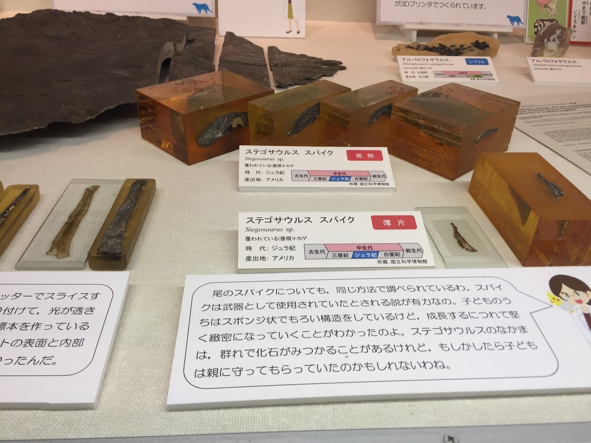 f:id:sakstyle:20190529115132j:plain