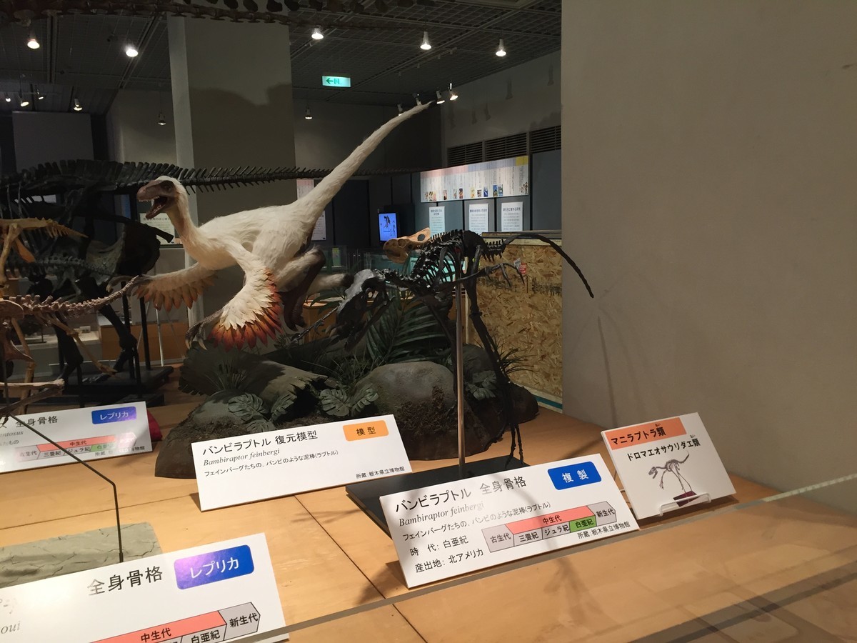 f:id:sakstyle:20190529120138j:plain