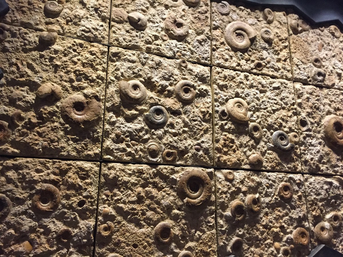 f:id:sakstyle:20191103141149j:plain f:id:sakstyle:20191103141149j:plain