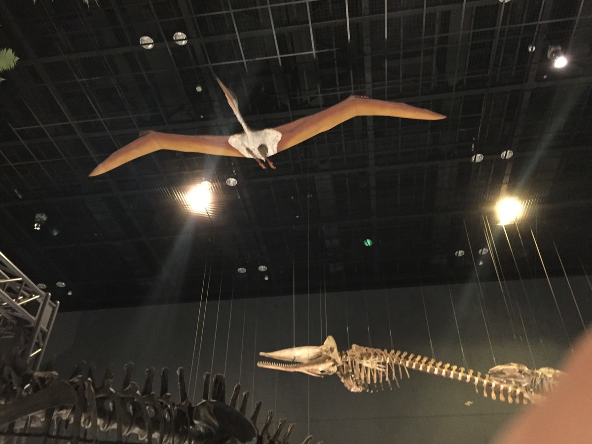 f:id:sakstyle:20191103142059j:plain f:id:sakstyle:20191103142059j:plain