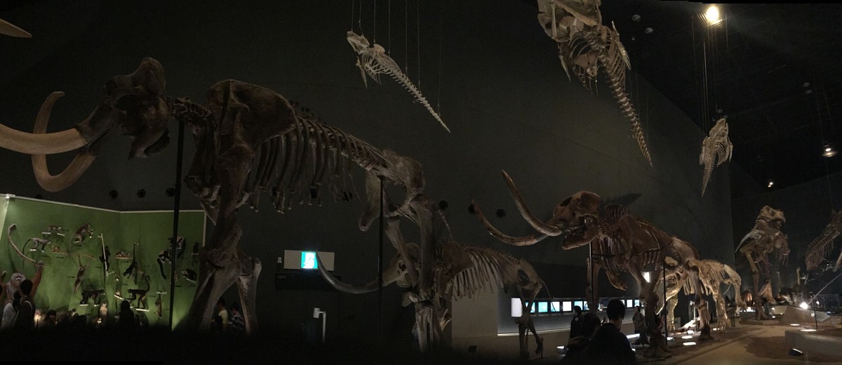 f:id:sakstyle:20191103143538j:plain f:id:sakstyle:20191103143538j:plain