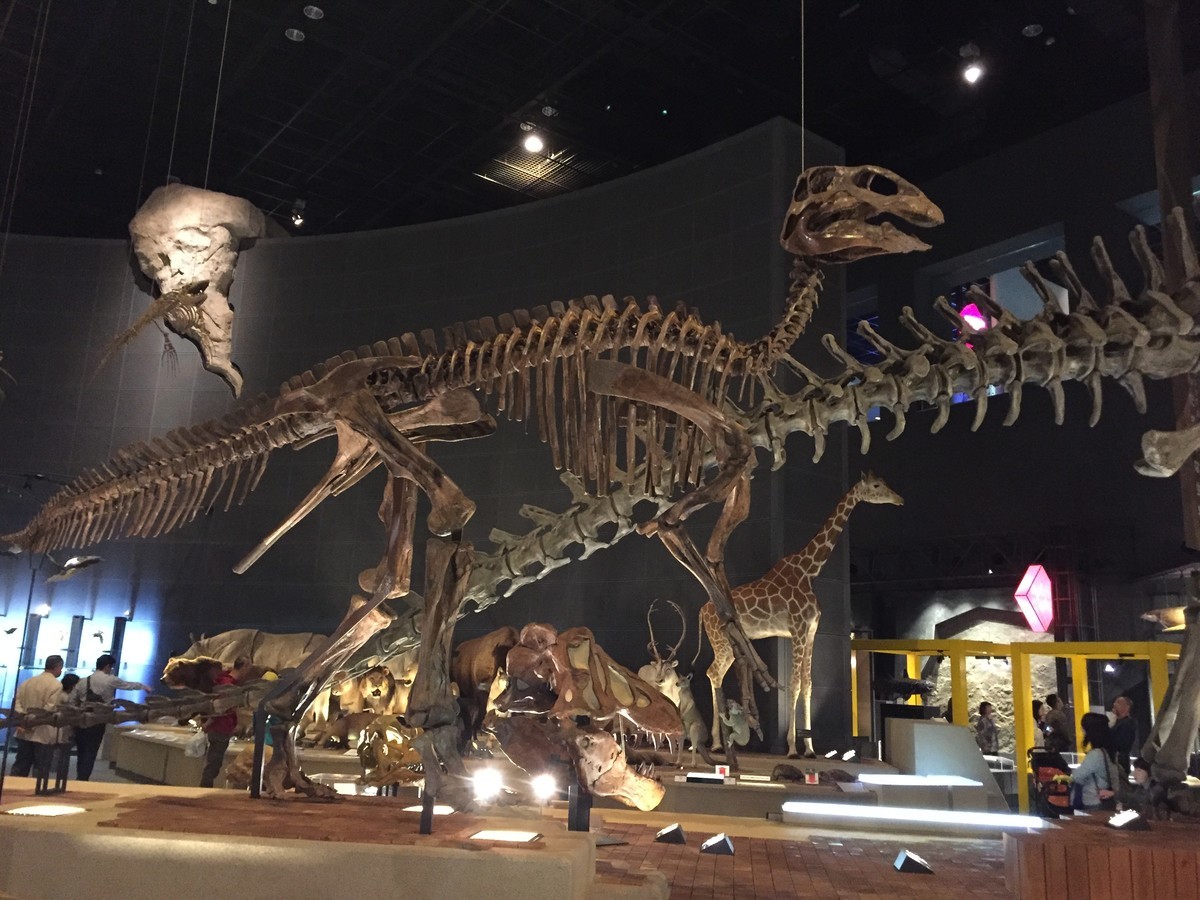 f:id:sakstyle:20191103143619j:plain f:id:sakstyle:20191103143619j:plain