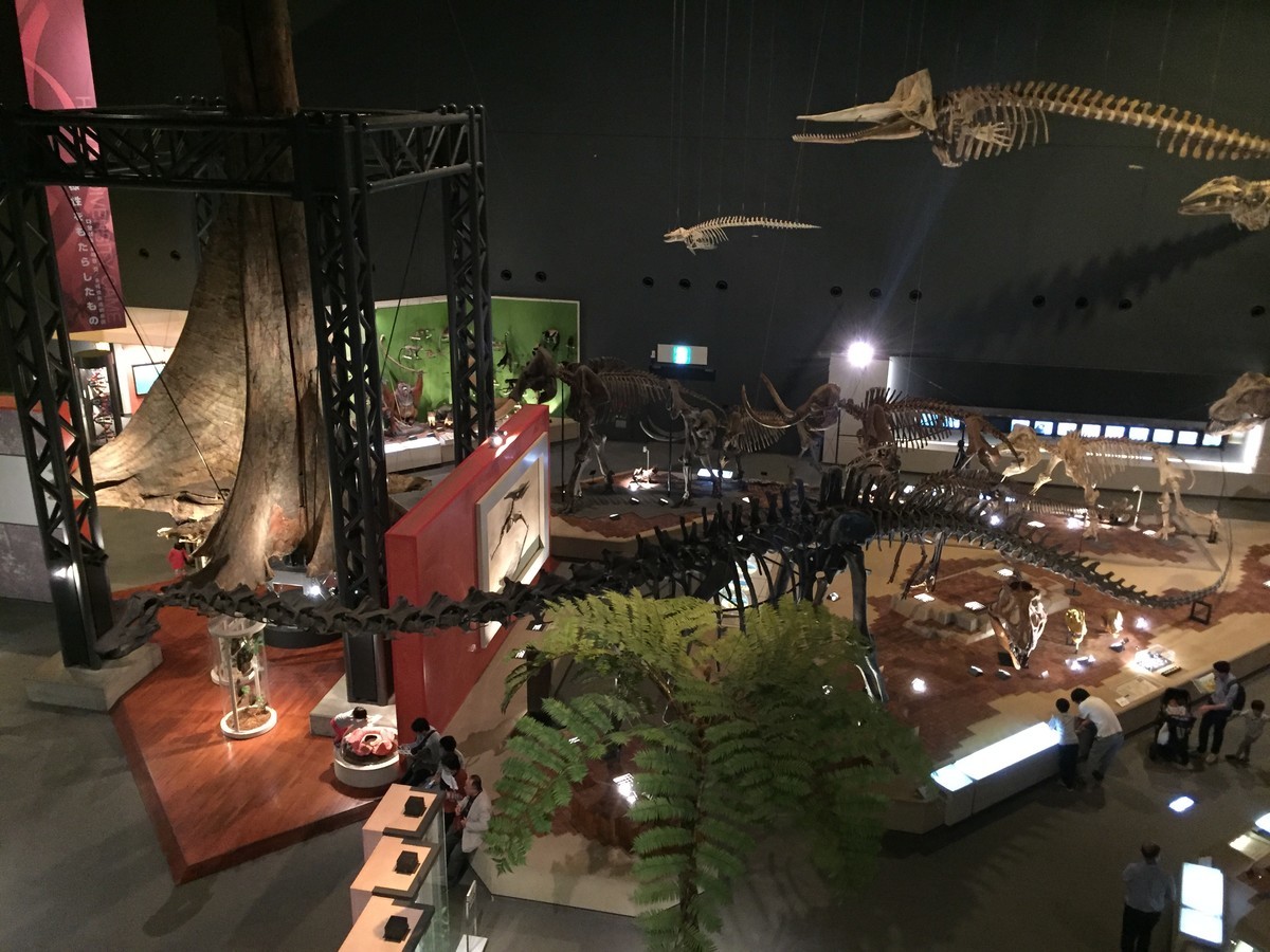 f:id:sakstyle:20191103145125j:plain f:id:sakstyle:20191103145125j:plain