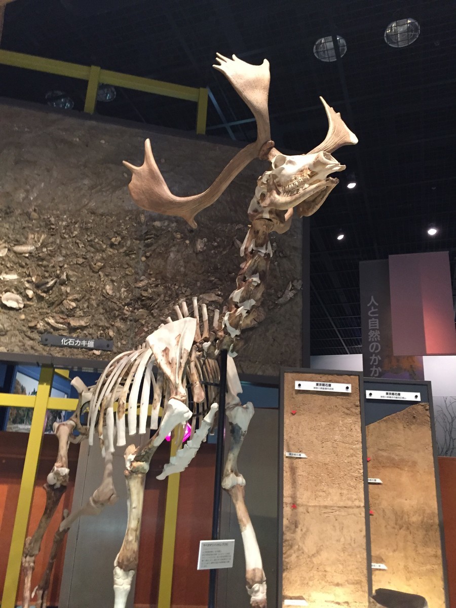 f:id:sakstyle:20191103145638j:plain f:id:sakstyle:20191103145638j:plain