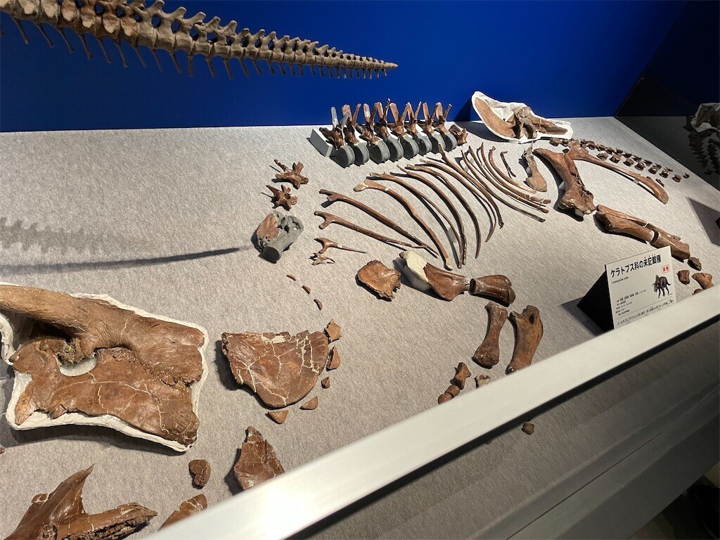 恐竜博2023 - logical cypher scape2