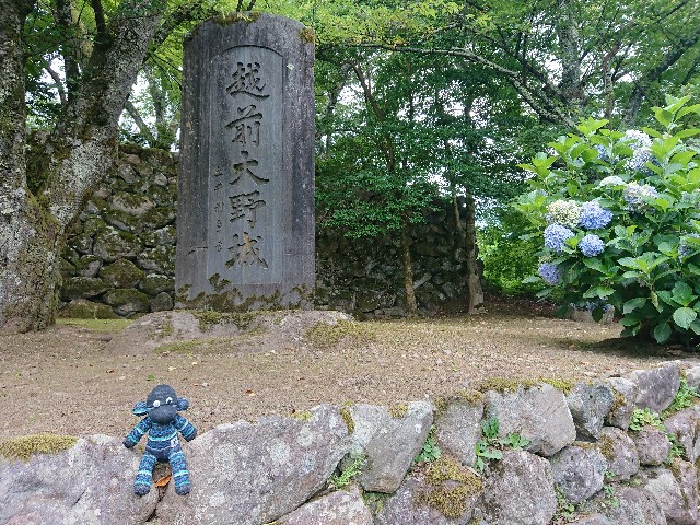 f:id:saku-jiro:20190729080443j:image f:id:saku-jiro:20190729080443j:image