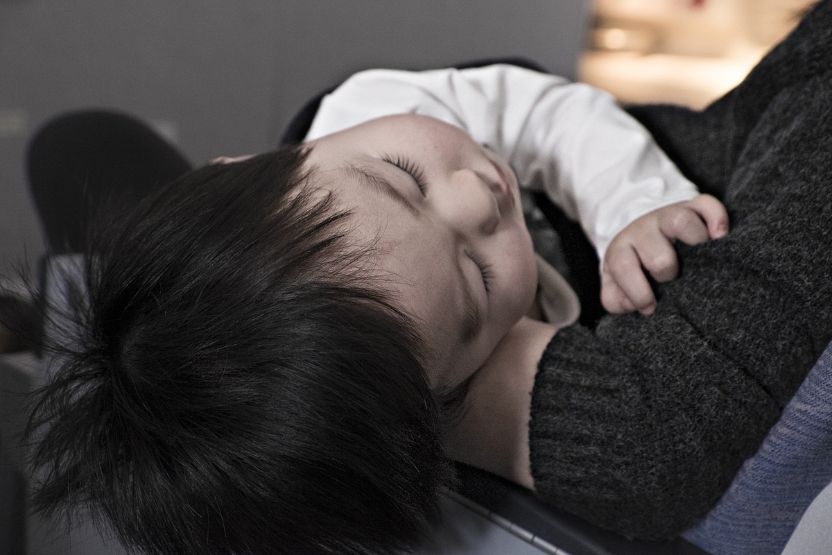 f:id:saku-nohohon:20191218230659j:plain