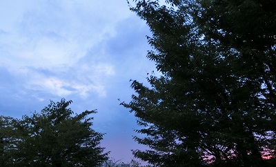 f:id:saku-sio63:20210823143942j:plain