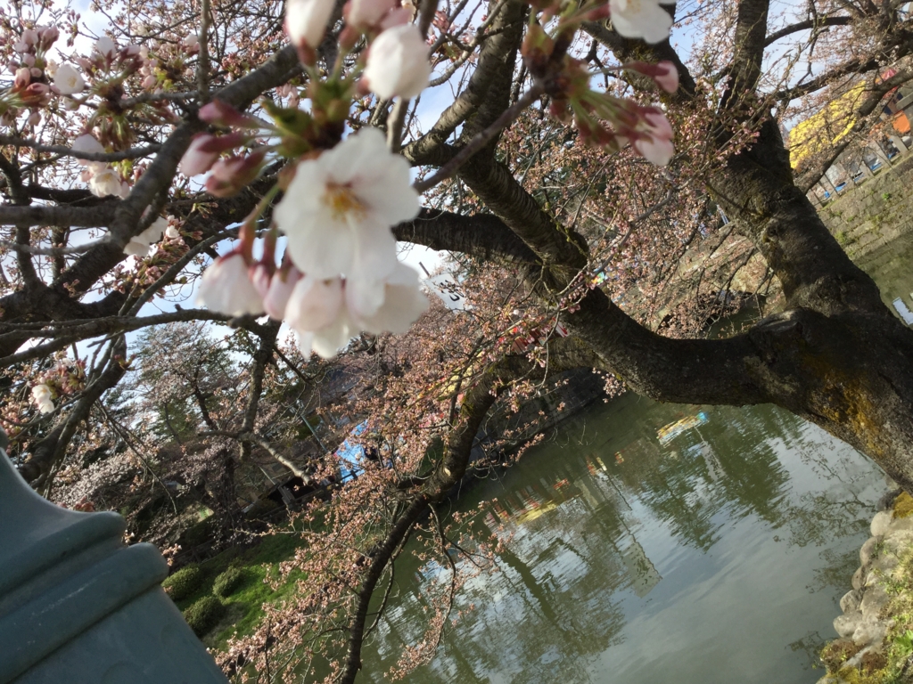 f:id:saku-suke:20170502234021j:plain f:id:saku-suke:20170502234021j:plain