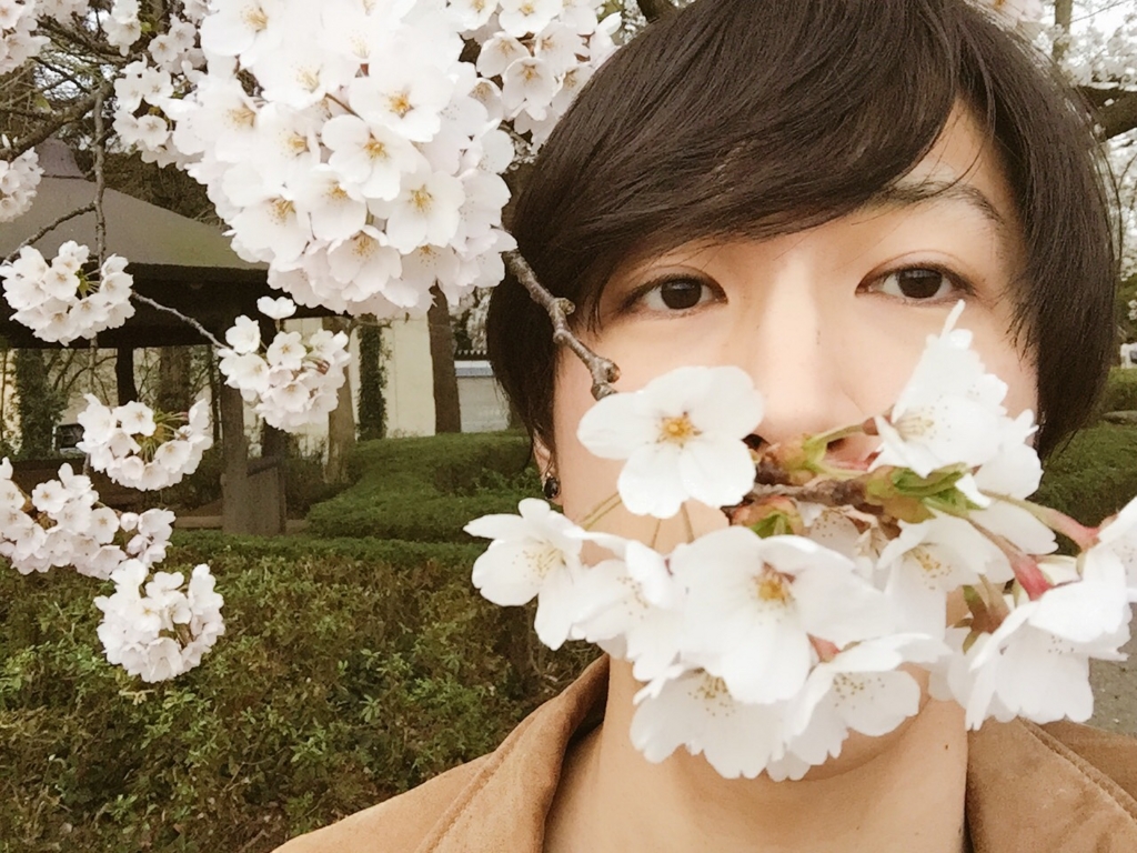 f:id:saku-suke:20170502235527j:plain f:id:saku-suke:20170502235527j:plain