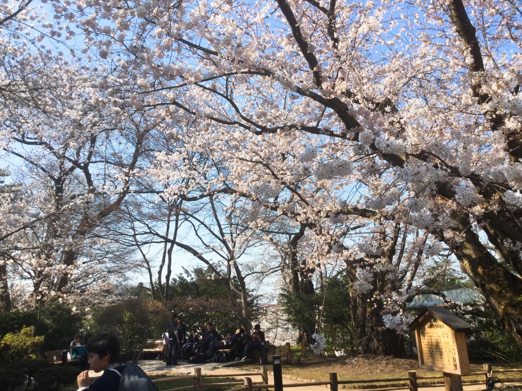 f:id:saku-suke:20170503000345j:plain f:id:saku-suke:20170503000345j:plain