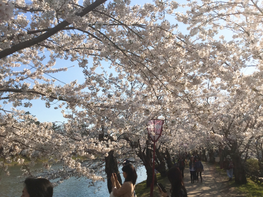 f:id:saku-suke:20170503000513j:plain f:id:saku-suke:20170503000513j:plain
