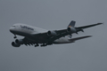 LH D-AIMD A380-800