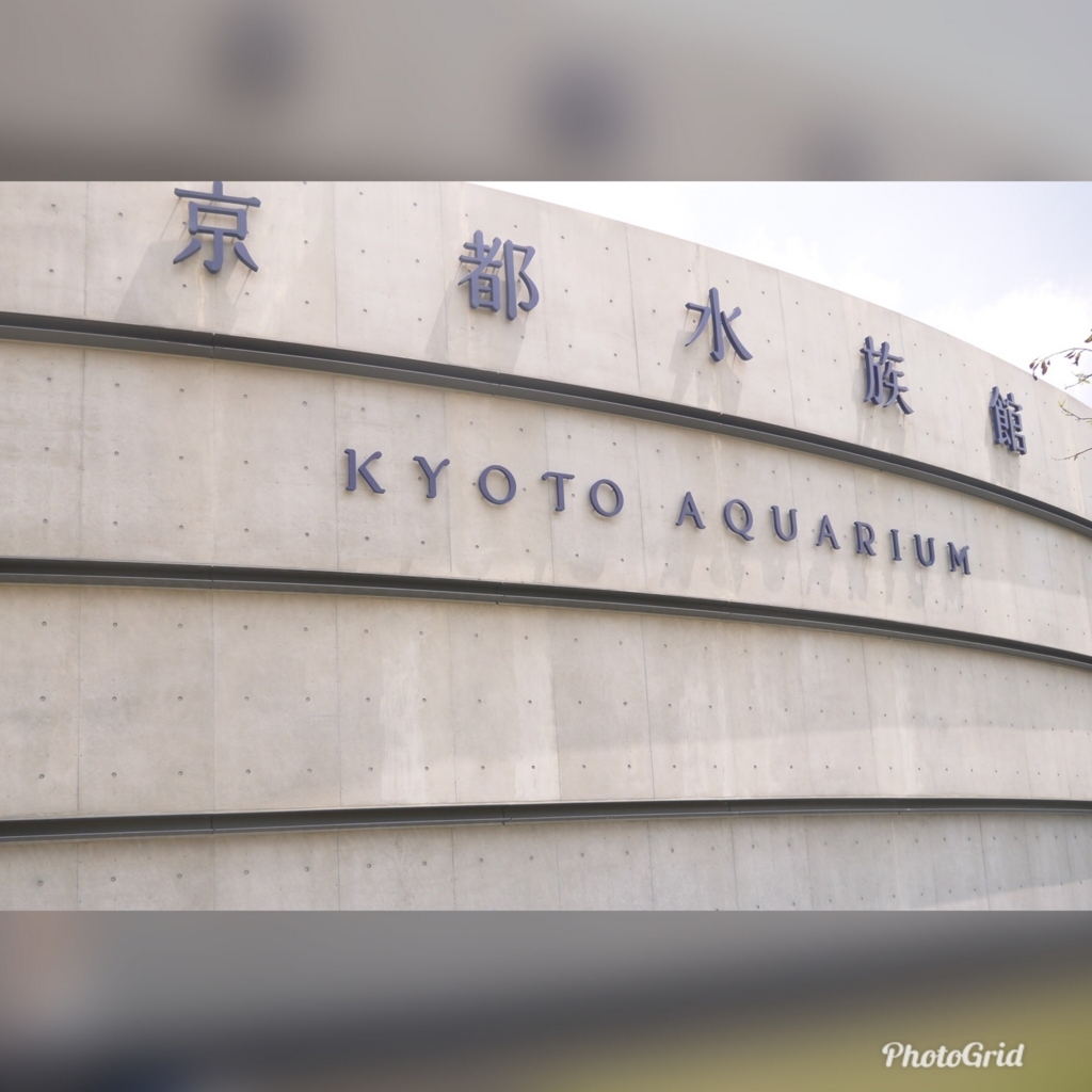 f:id:saku0725:20180804215346j:plain