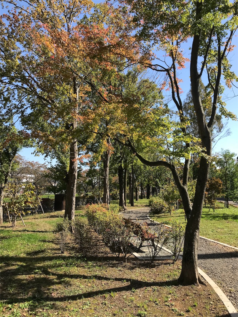 f:id:saku0725:20181021134151j:image