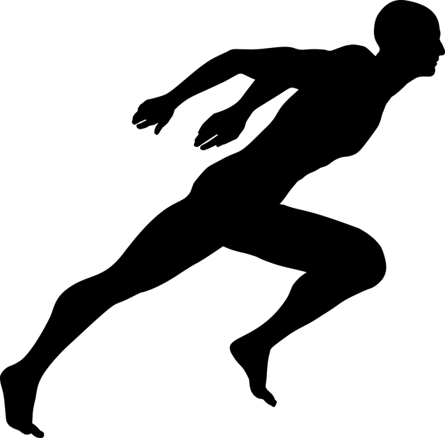 f:id:saku1228:20180117215158p:plain f:id:saku1228:20180117215158p:plain