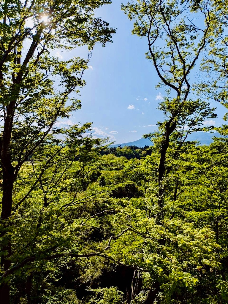 f:id:saku_dousei:20260808163452j:image